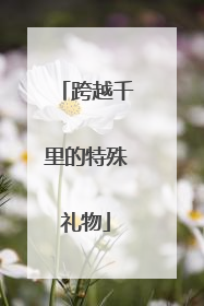 跨越千里的特殊礼物